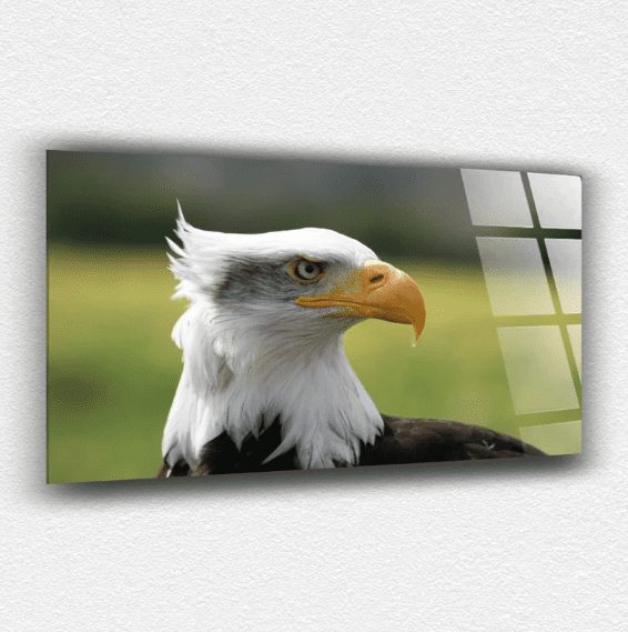 Kartal Portre Cam Tablo 5