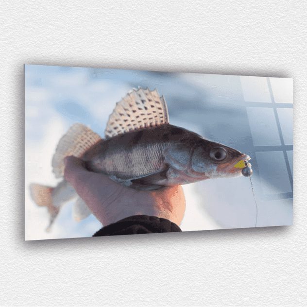 Balık Cam Tablo 1