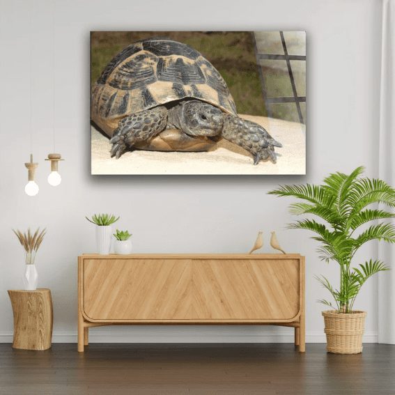 Alternative view of Kaplumbağa Cam Tablo